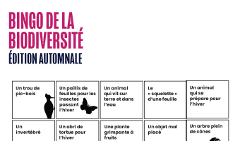 Carte du bingo de la biodiversité